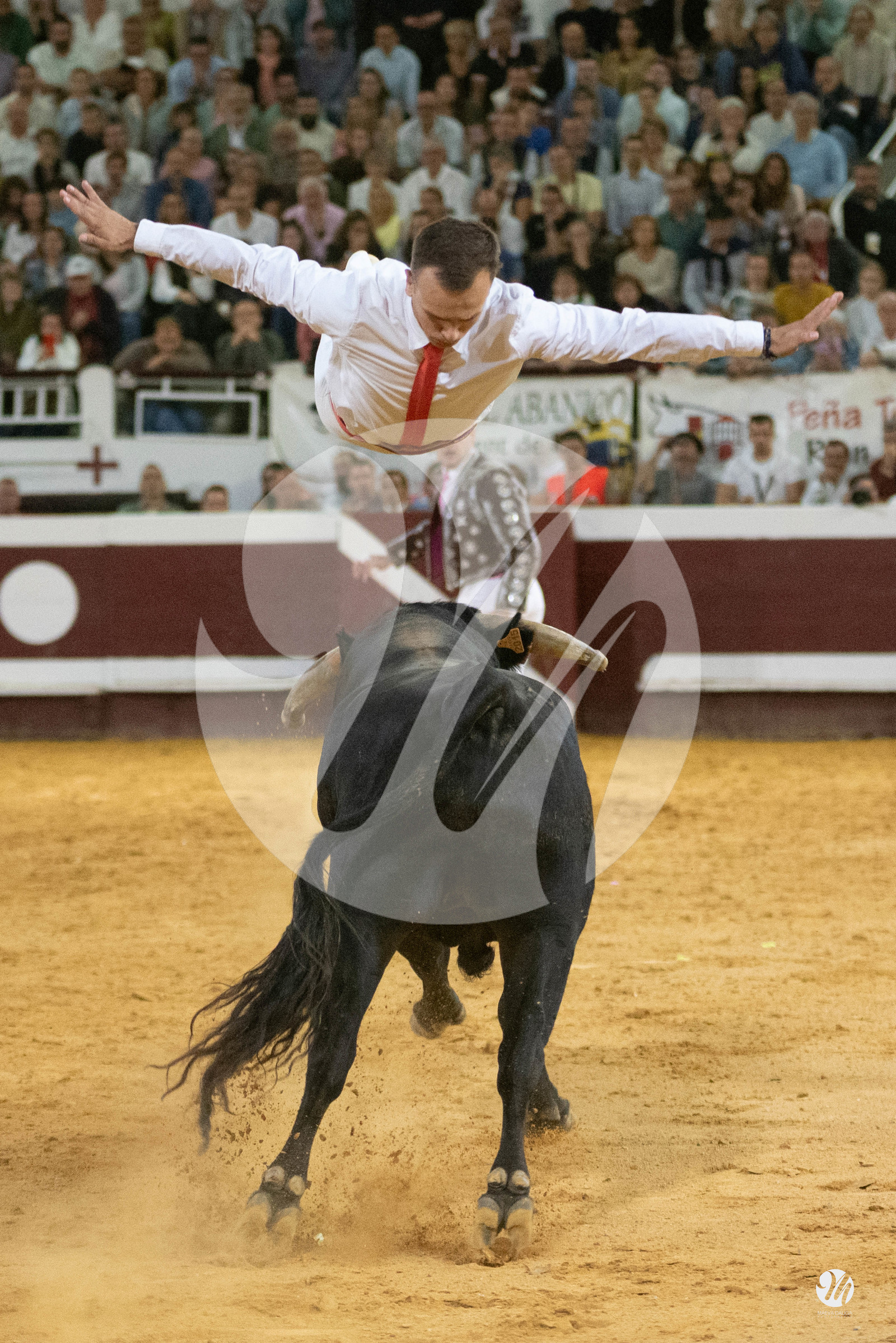 dsc_2636.jpg