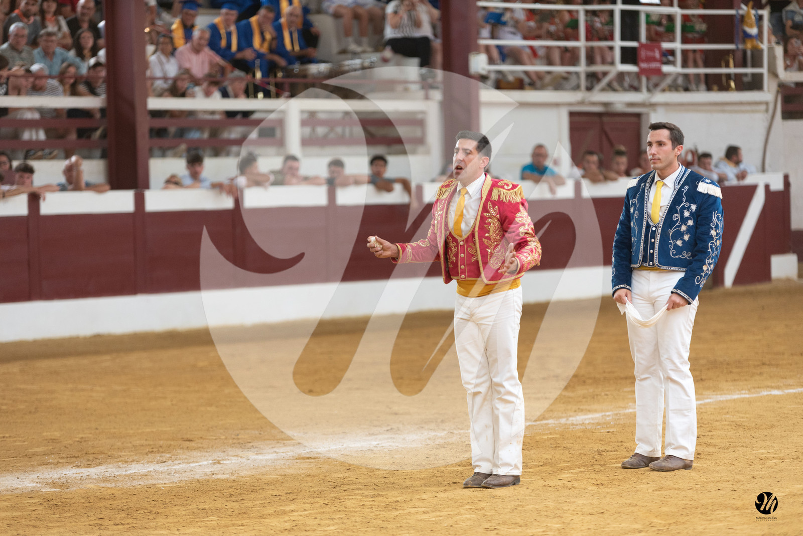 dsc_8883.jpg