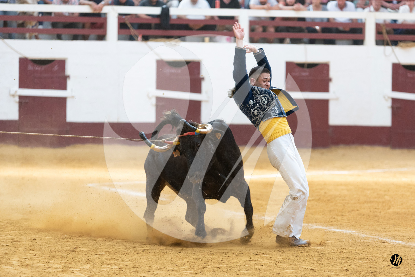 dsc_9258.jpg