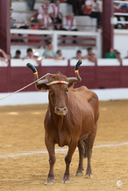 dsc_9965.jpg