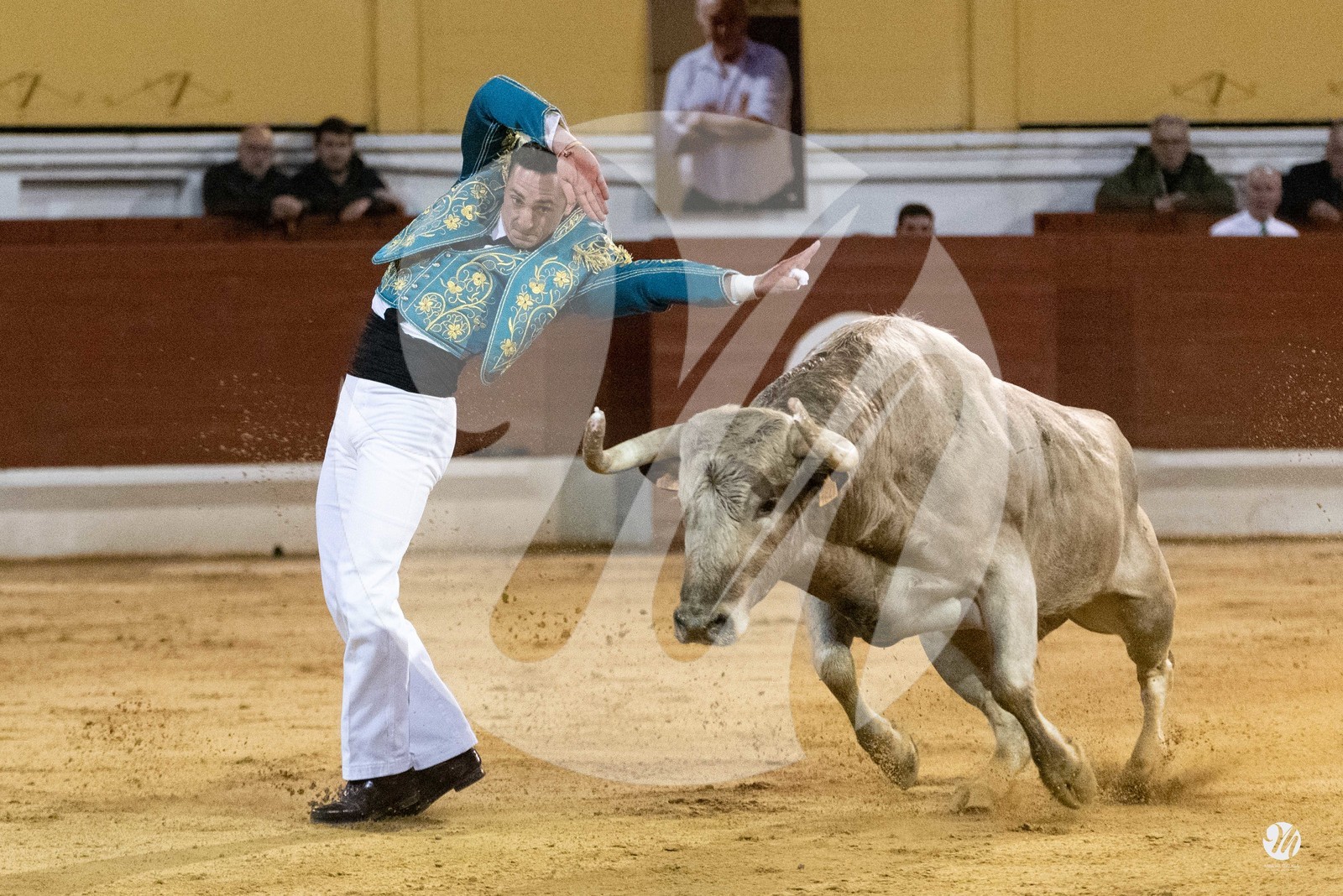 dsc_0409.jpg