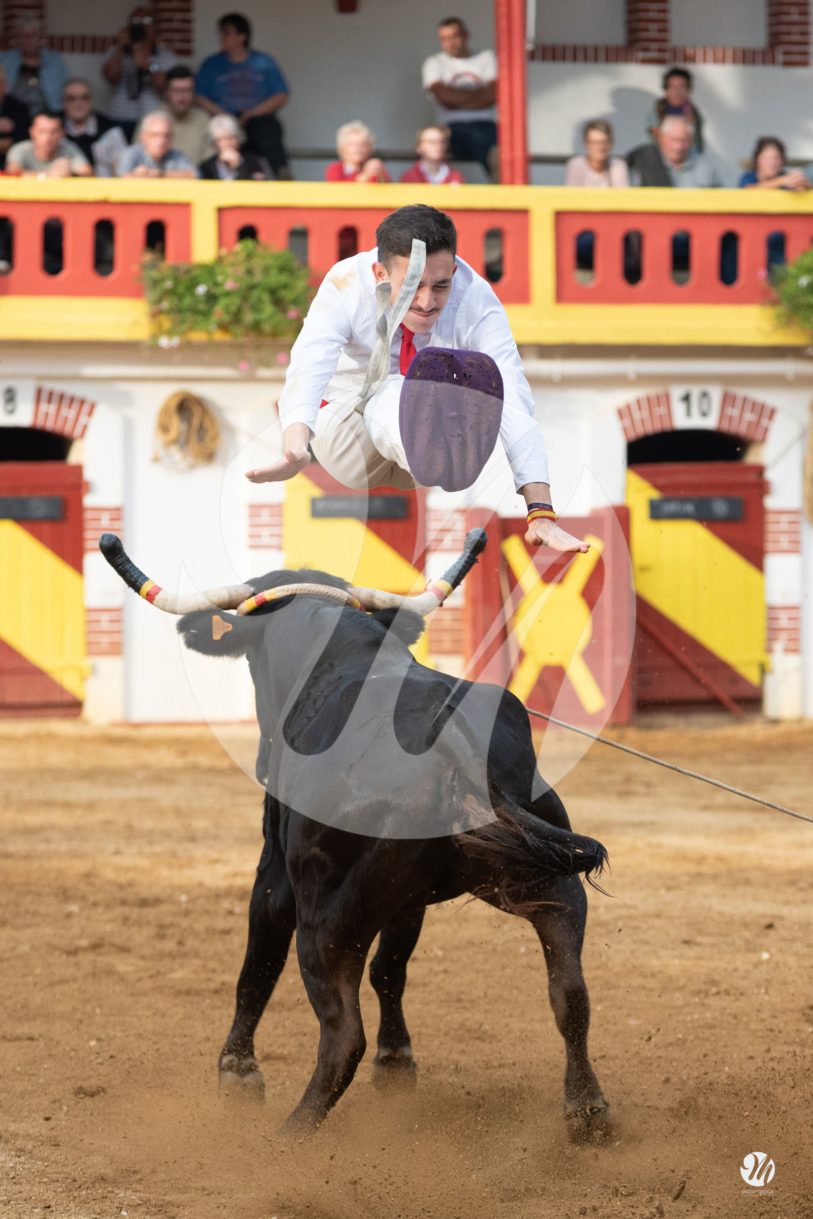 dsc_3561.jpg