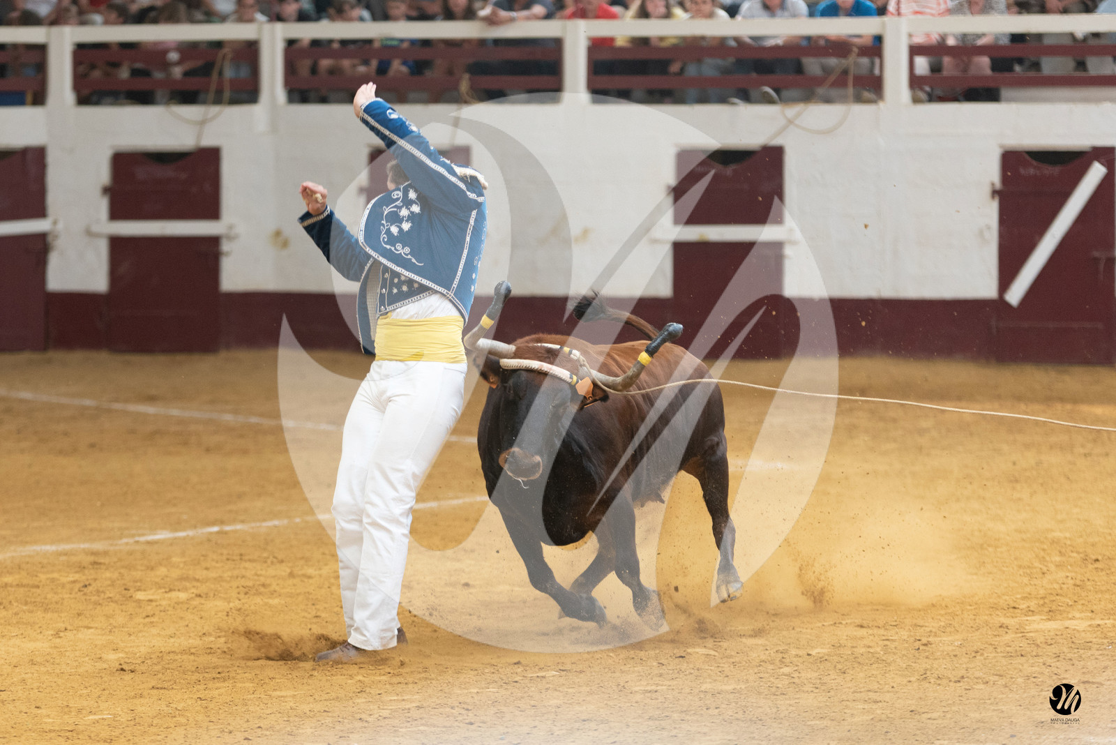 dsc_9057.jpg