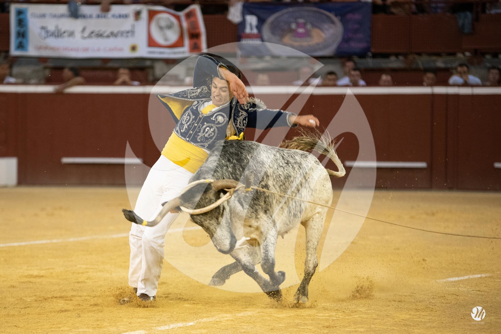 dsc_9688.jpg