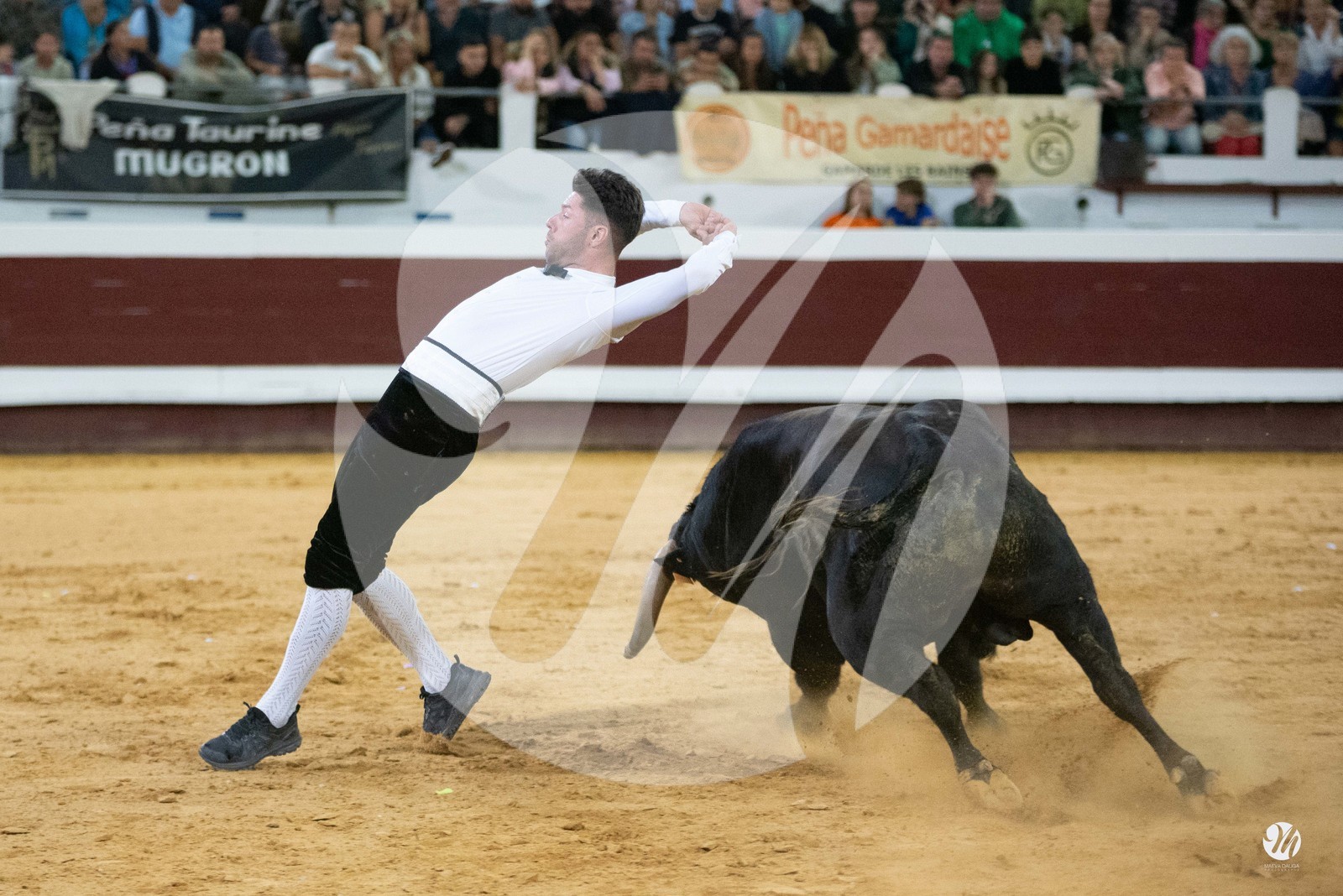 dsc_2512.jpg
