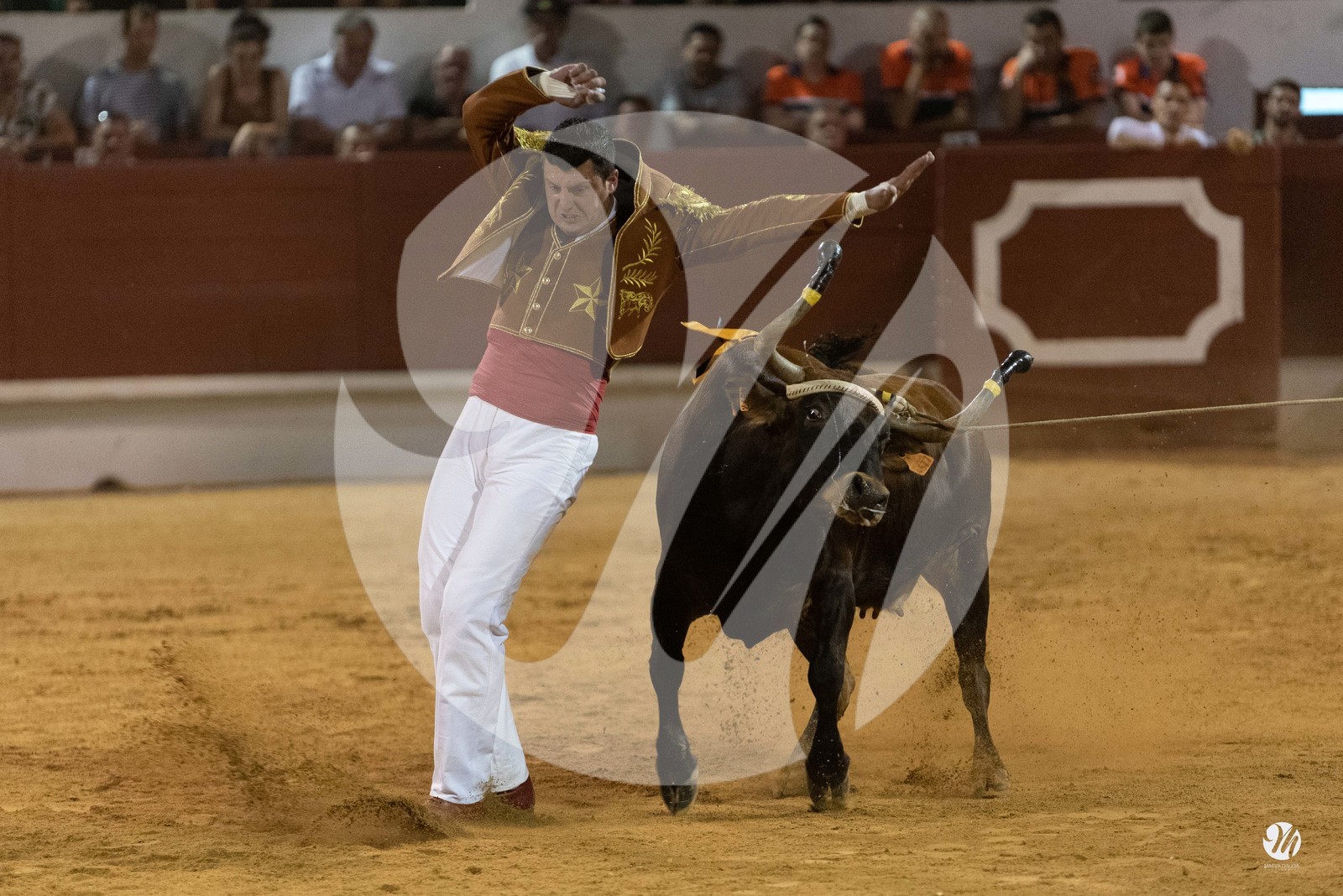 dsc_2892.jpg