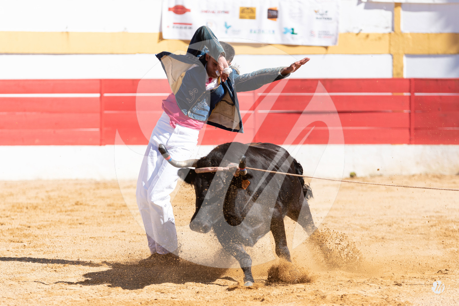 dsc_6425.jpg