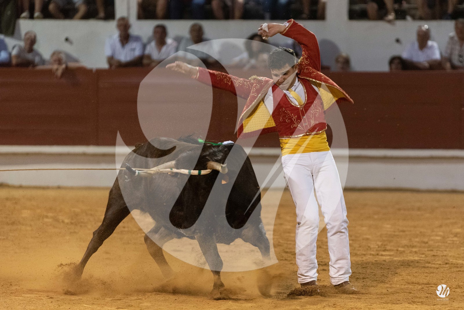 dsc_2699.jpg