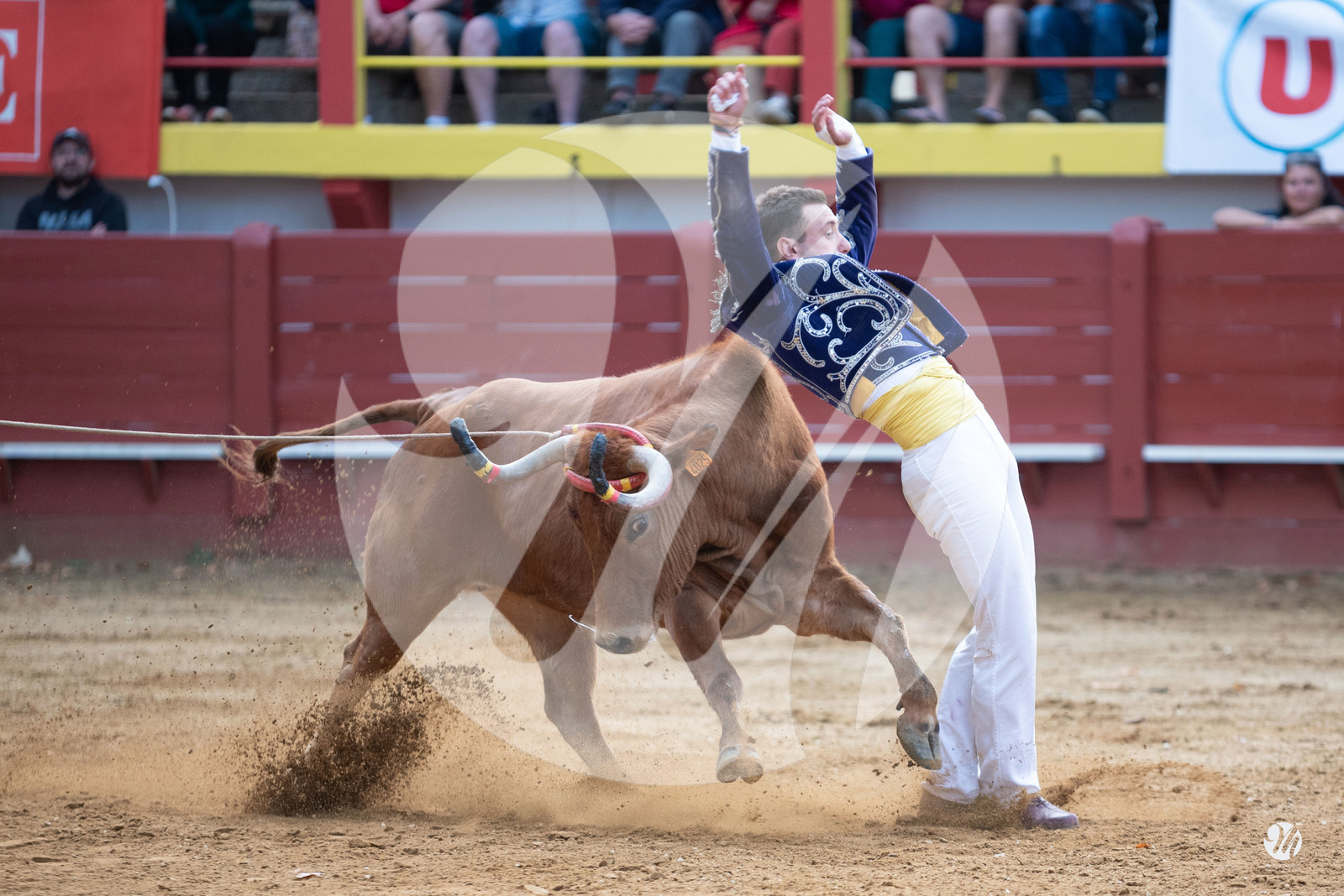 dsc_3458.jpg