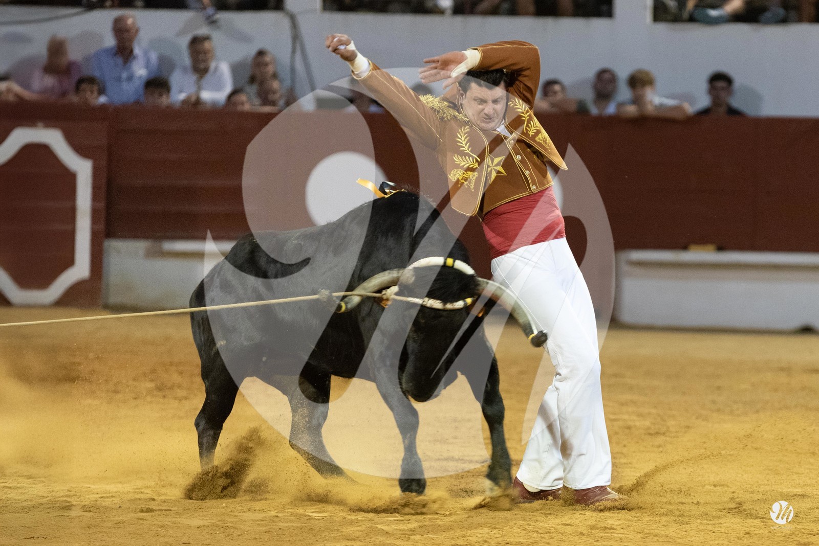 dsc_2675.jpg