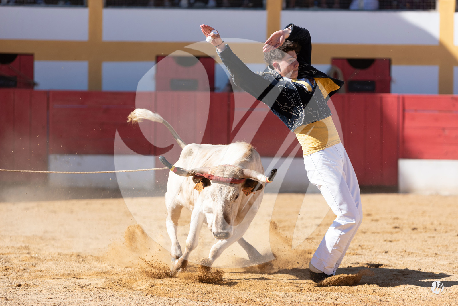 dsc_6659.jpg