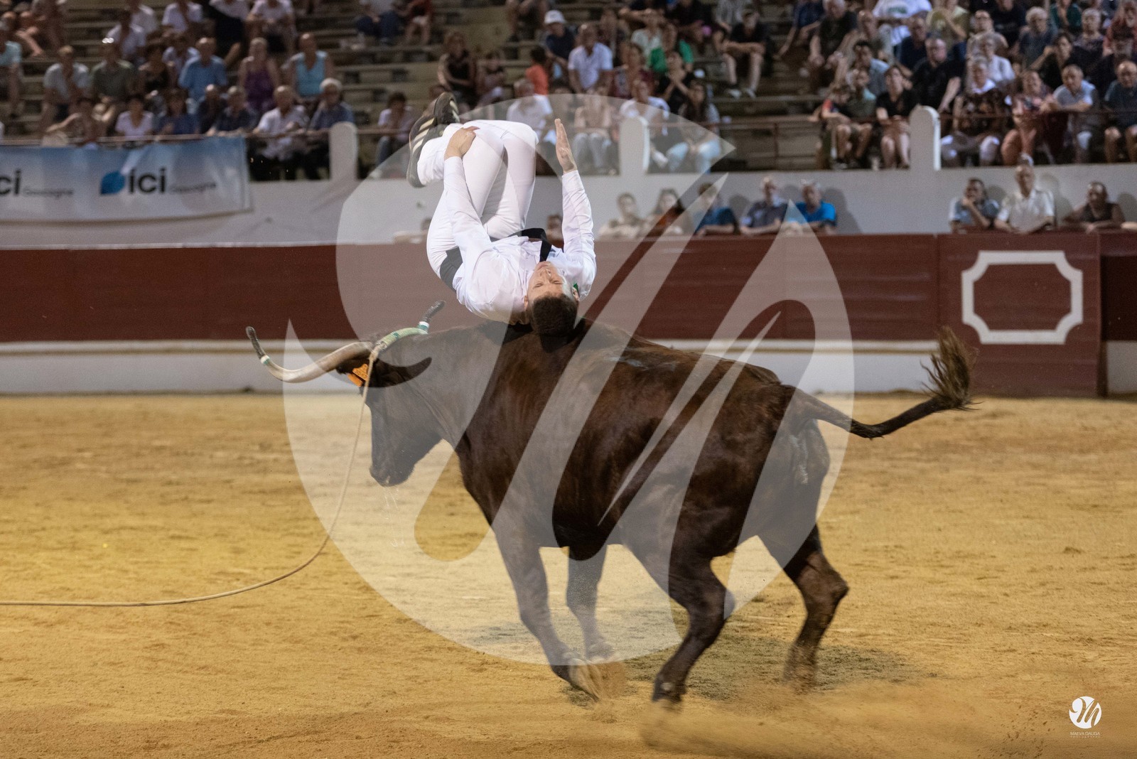 dsc_2863.jpg