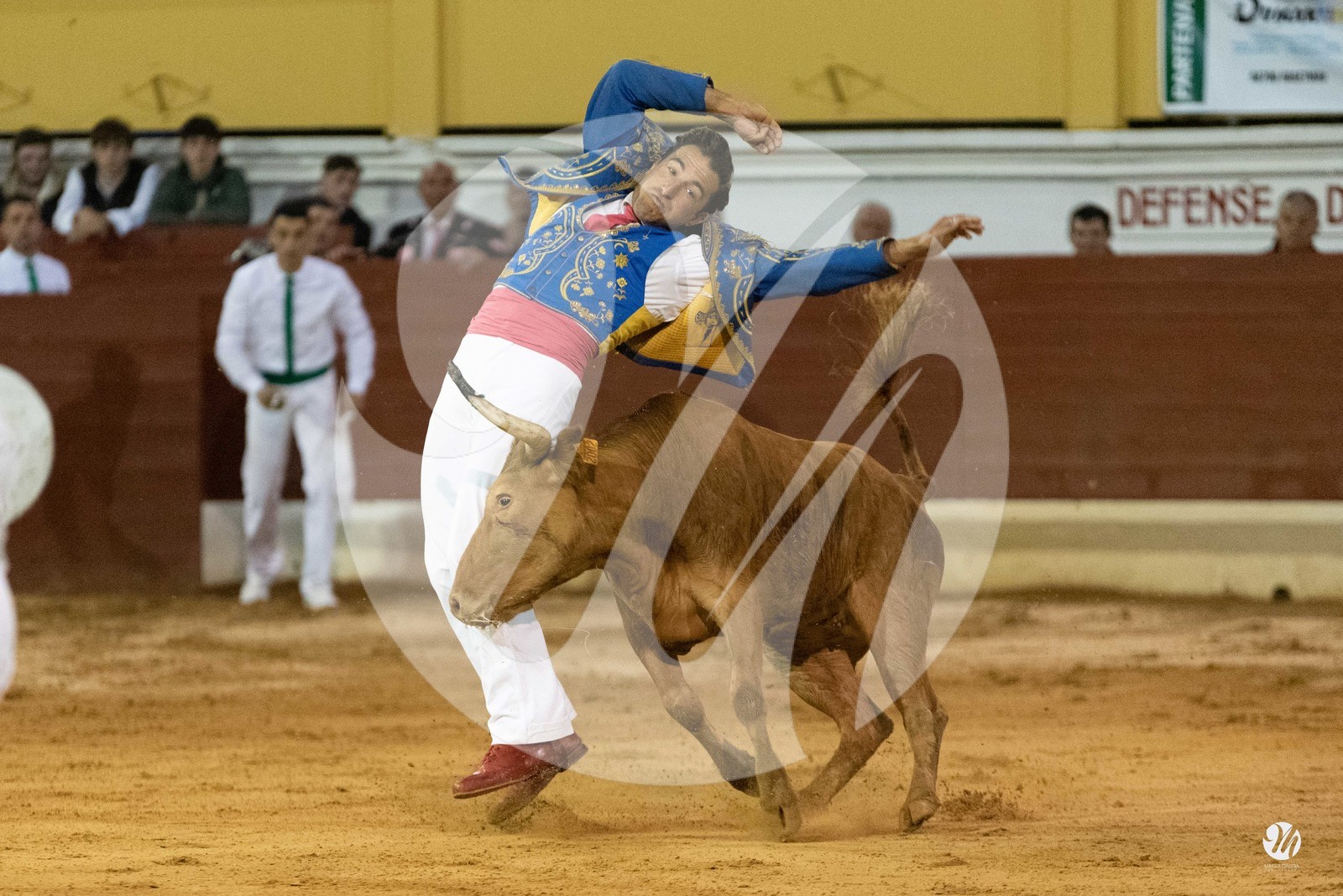 dsc_0142.jpg