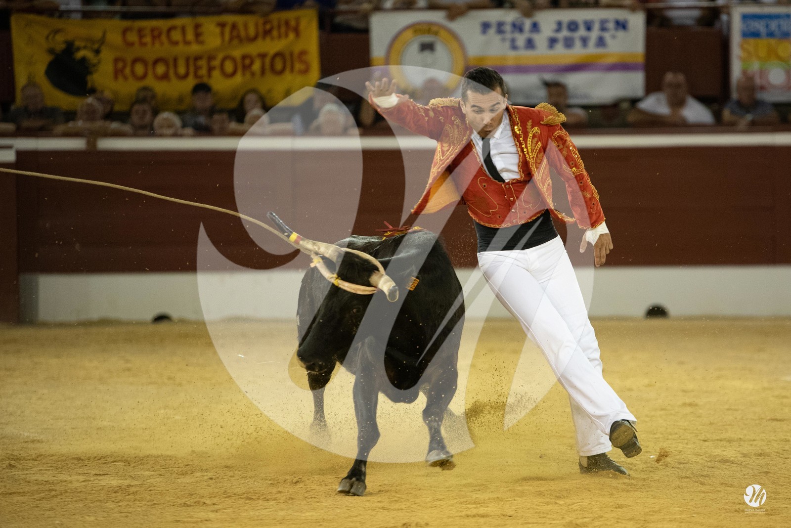 dsc_9887.jpg