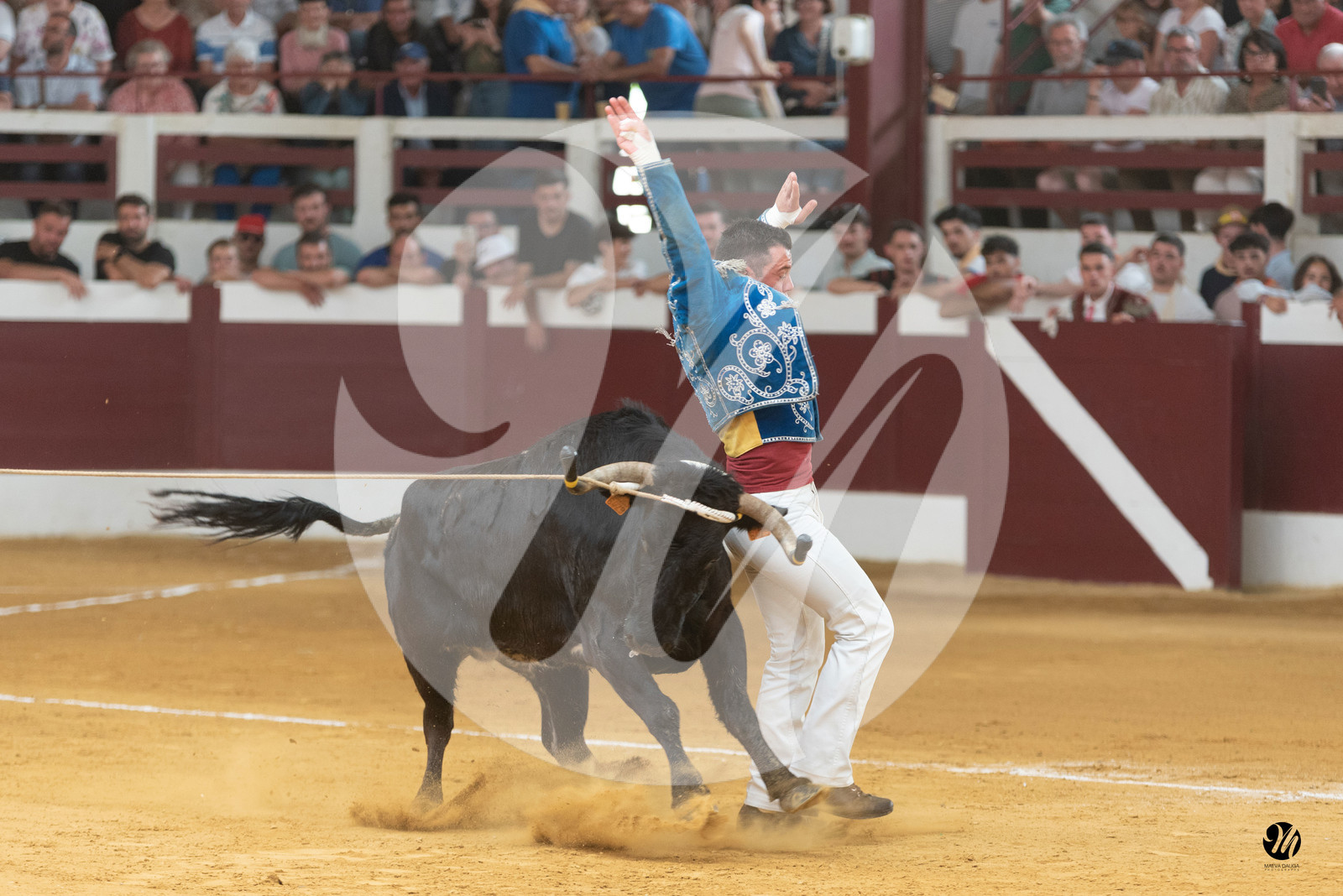 dsc_8776.jpg