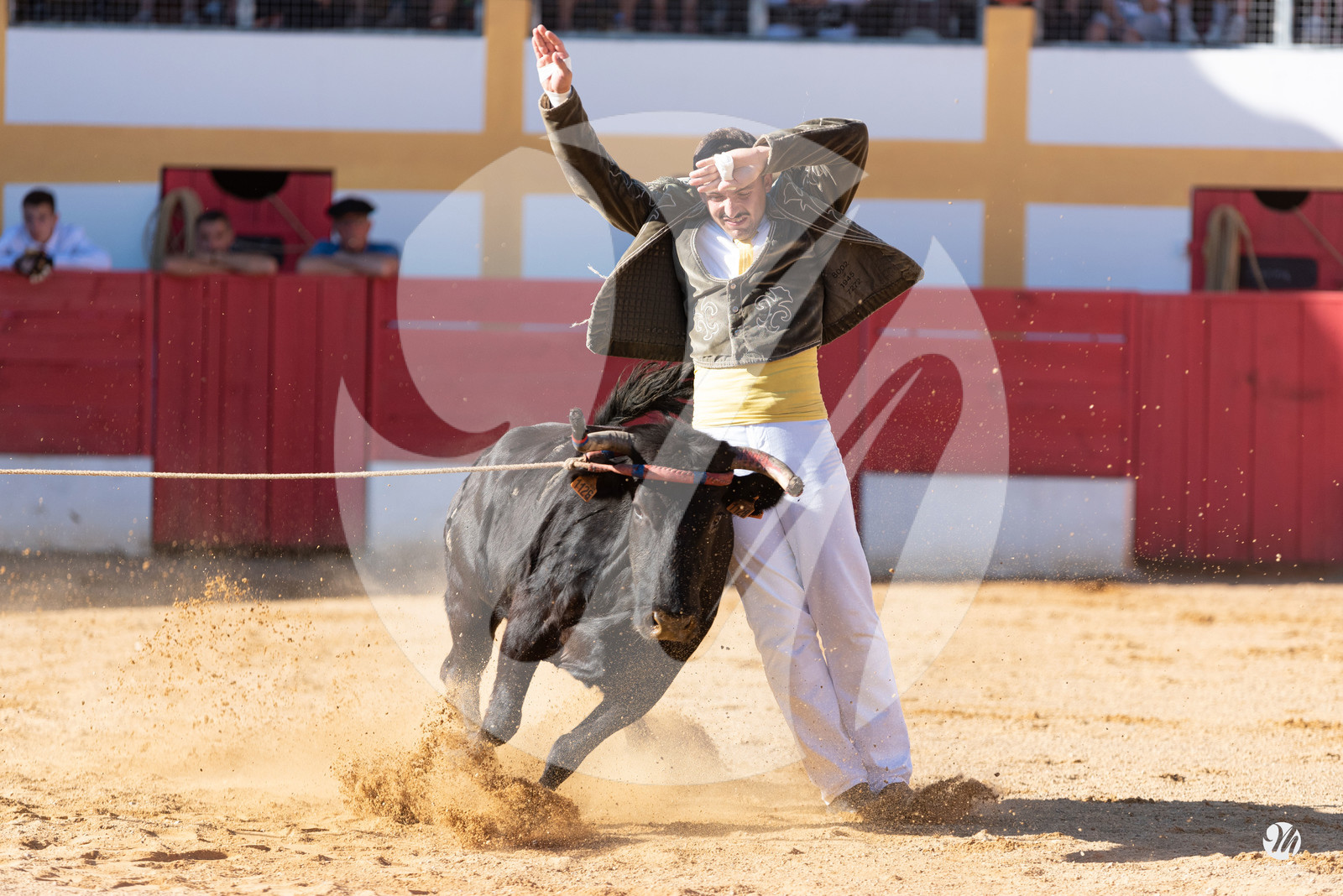 dsc_6794.jpg