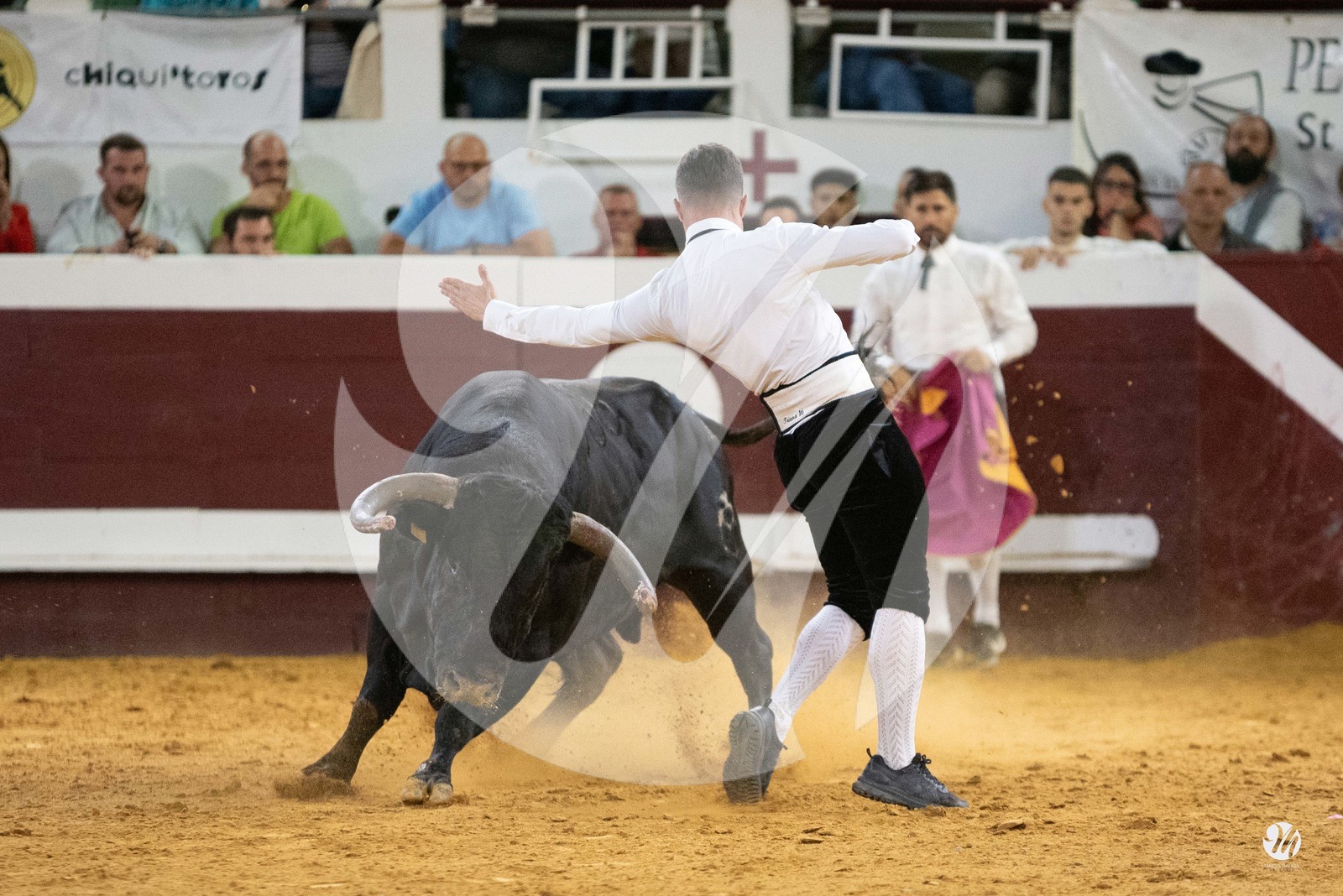 dsc_2498.jpg