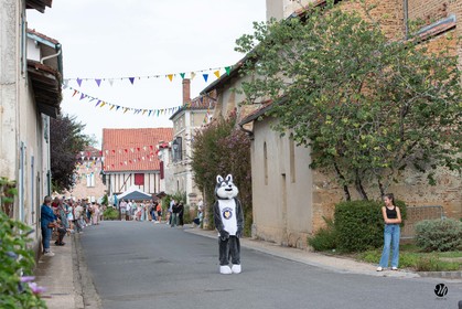 dsc_0451.jpg