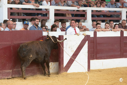 dsc_9662.jpg