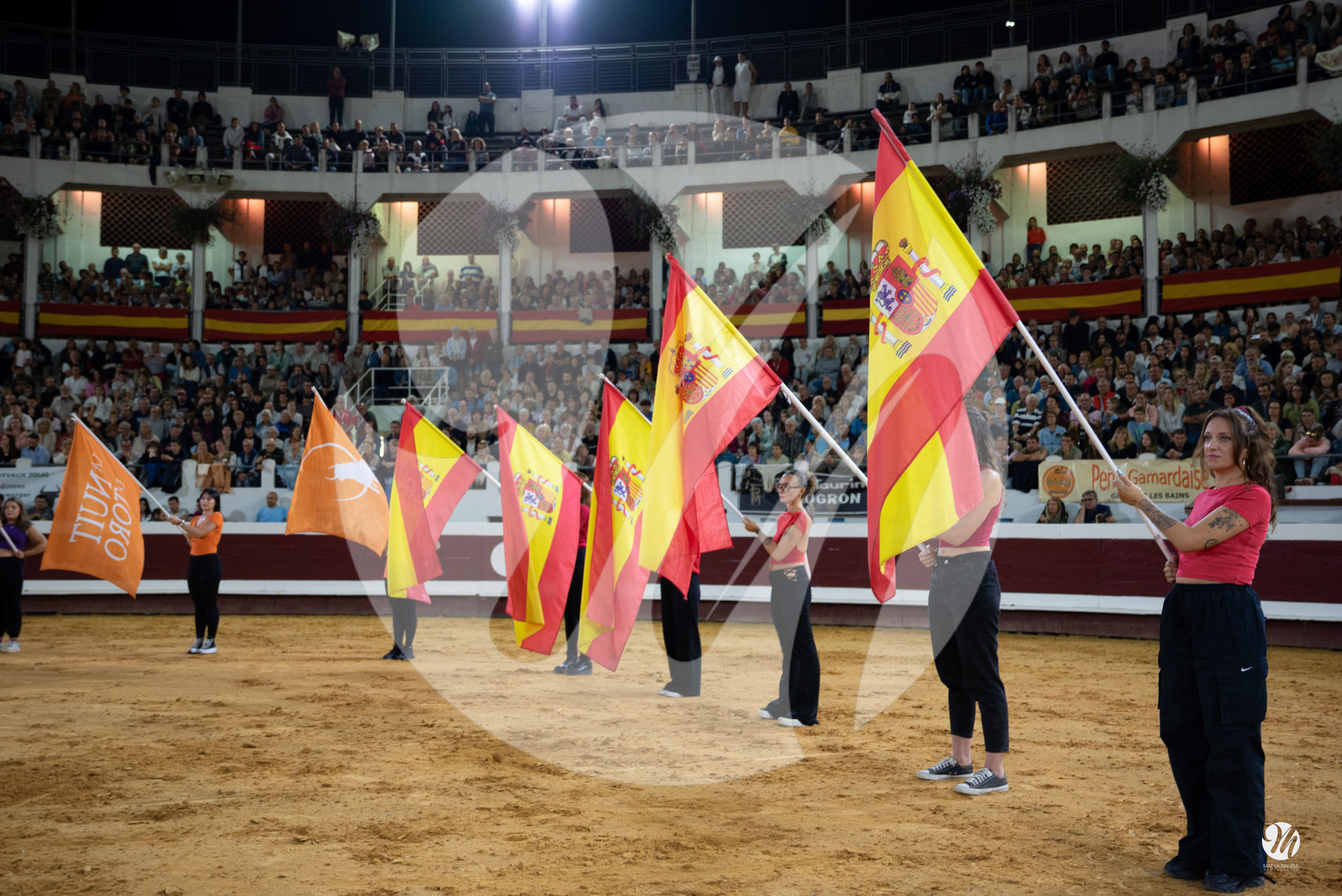 dsc_1397.jpg