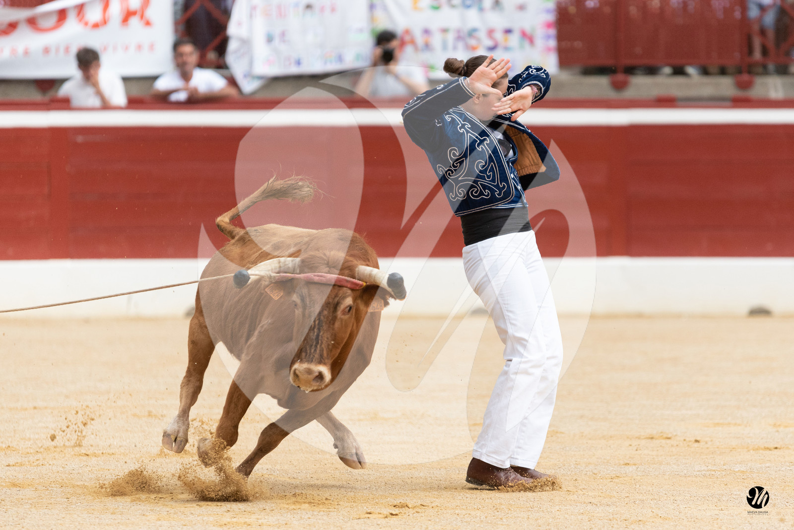 dsc_0751.jpg