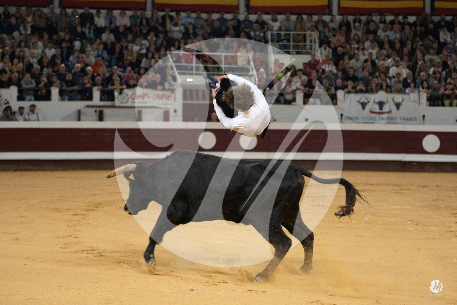 dsc_1933.jpg