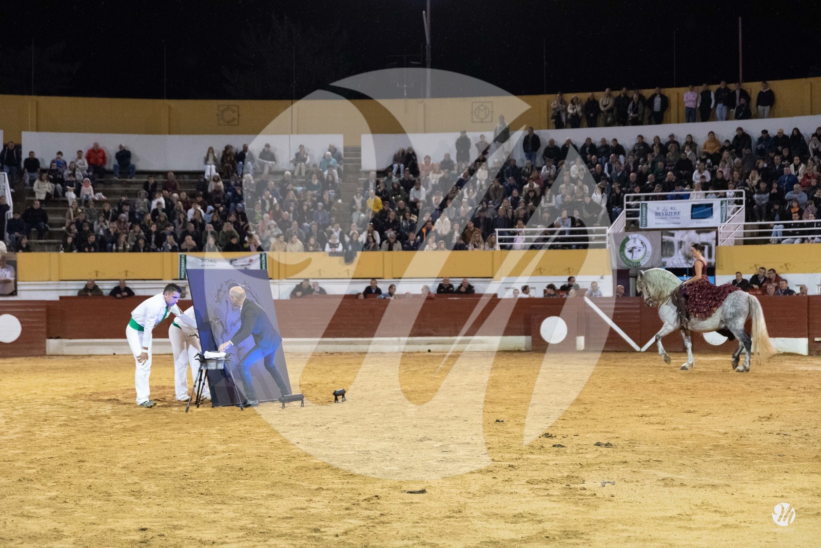dsc_1314.jpg