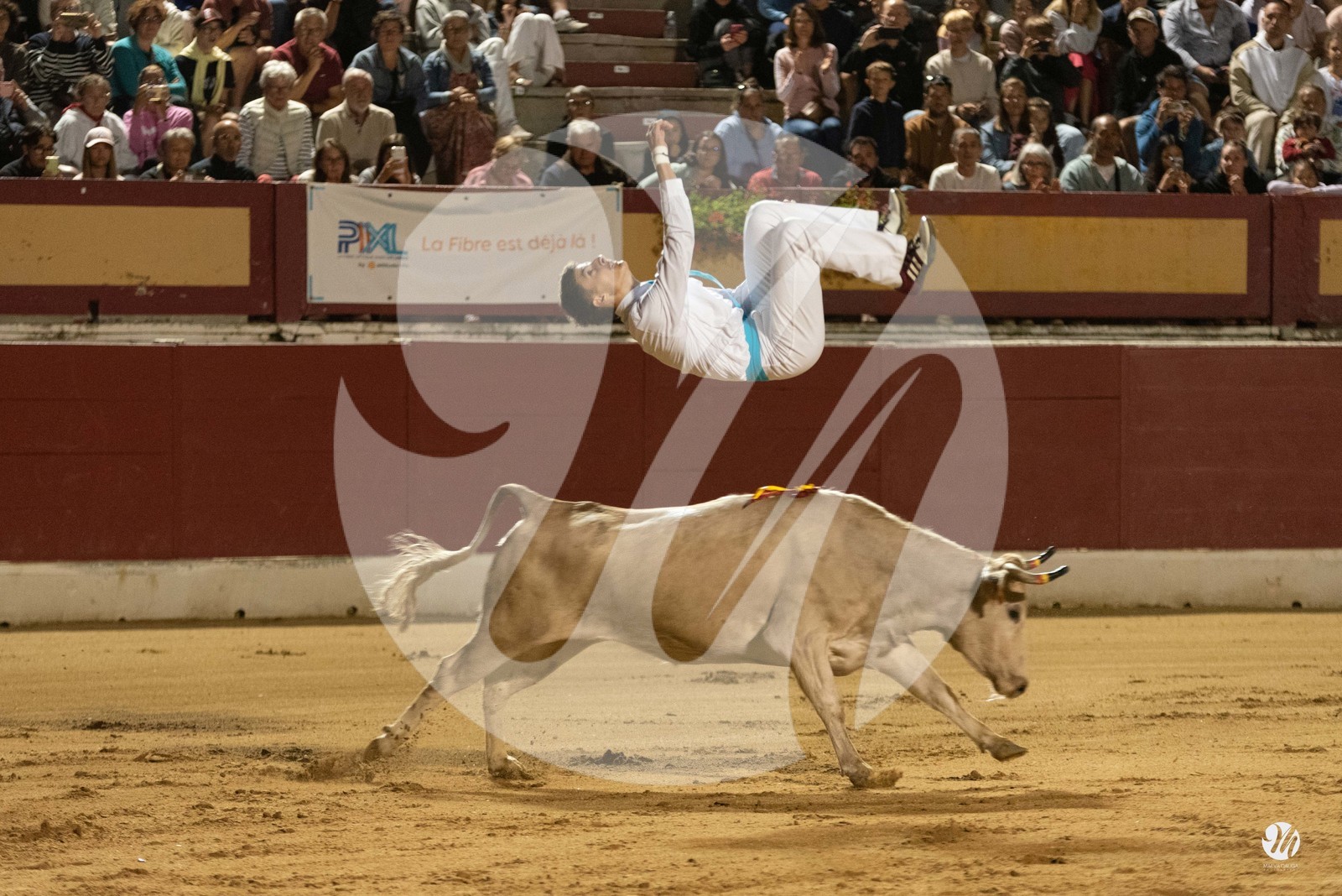 dsc_7347.jpg