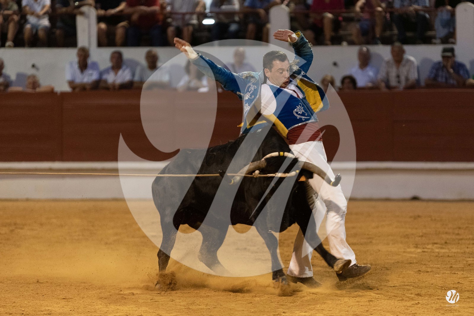 dsc_2663.jpg