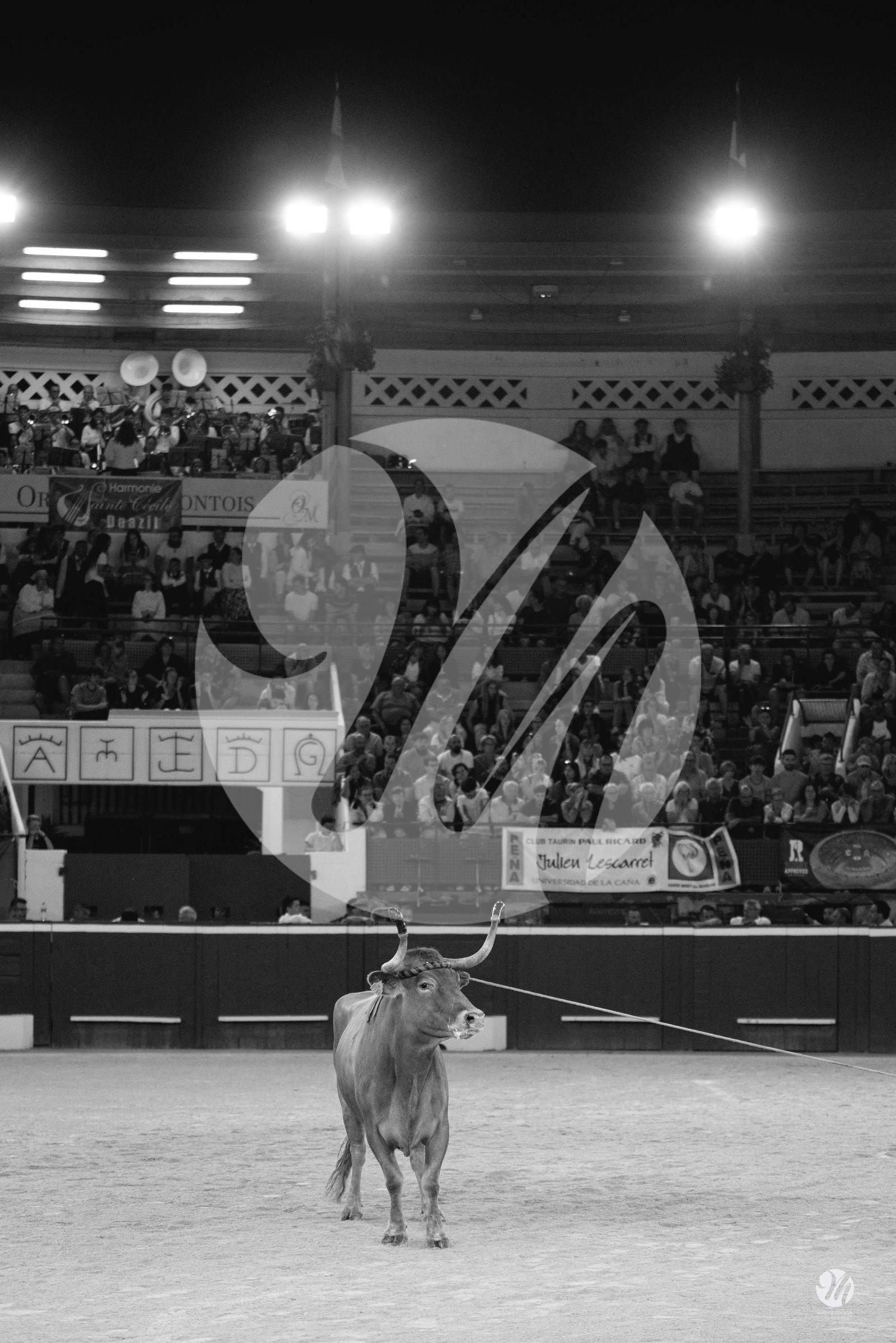 dsc_0202.jpg-nb.jpg