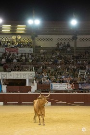 dsc_0202.jpg