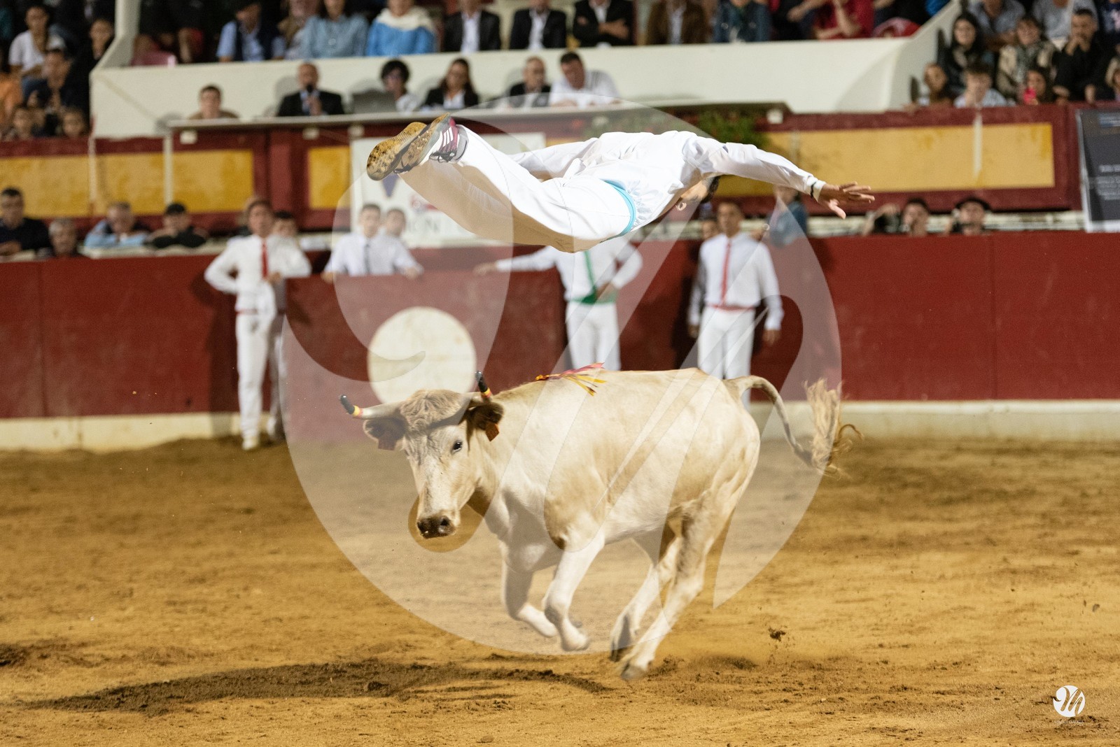 dsc_7351.jpg