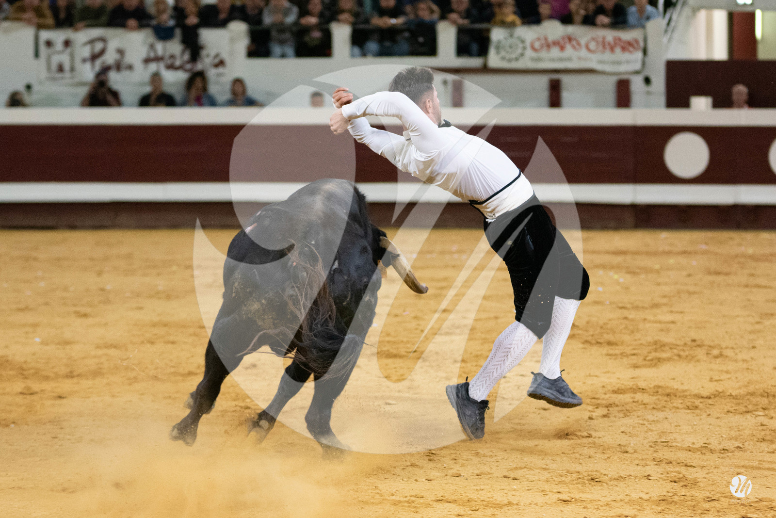 dsc_2076.jpg