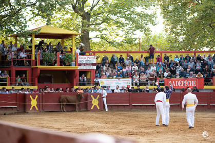 dsc_3412.jpg