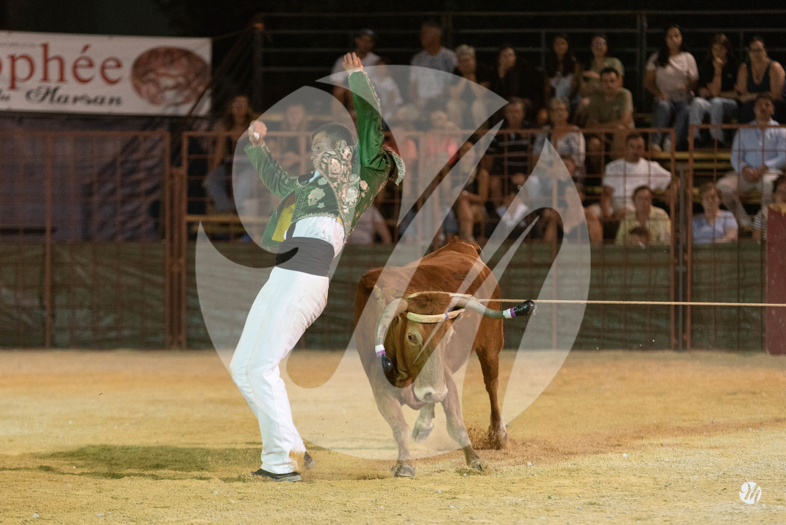 dsc_7862.jpg