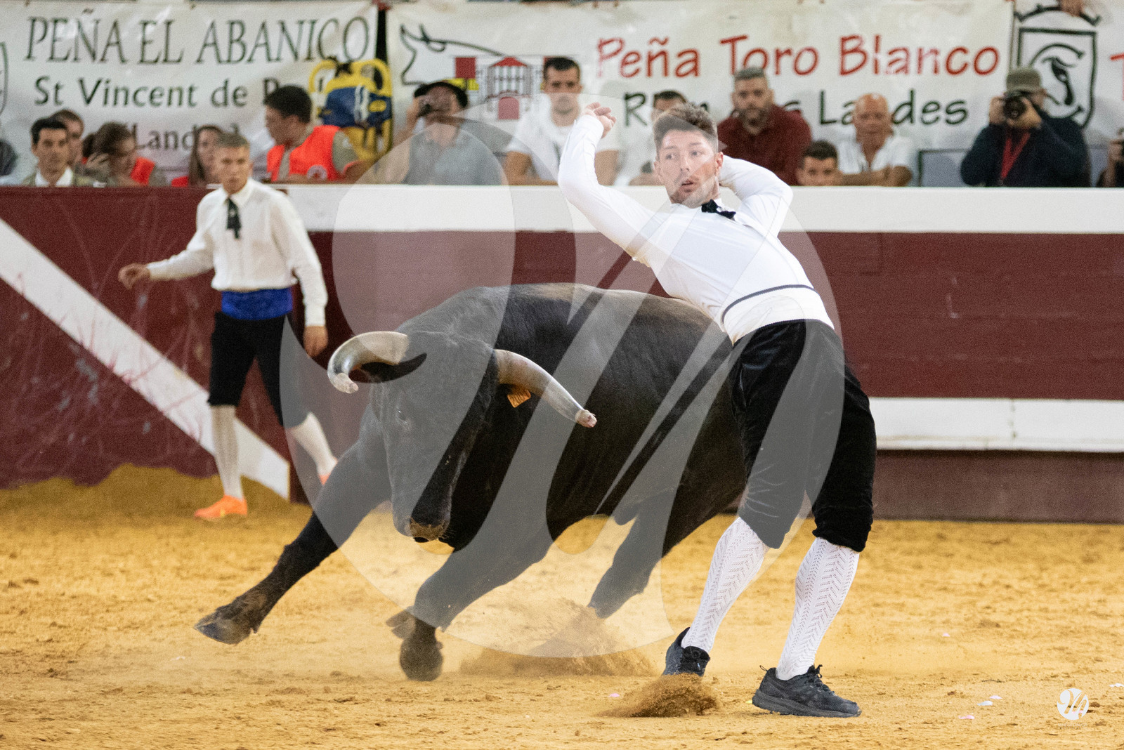 dsc_2559.jpg