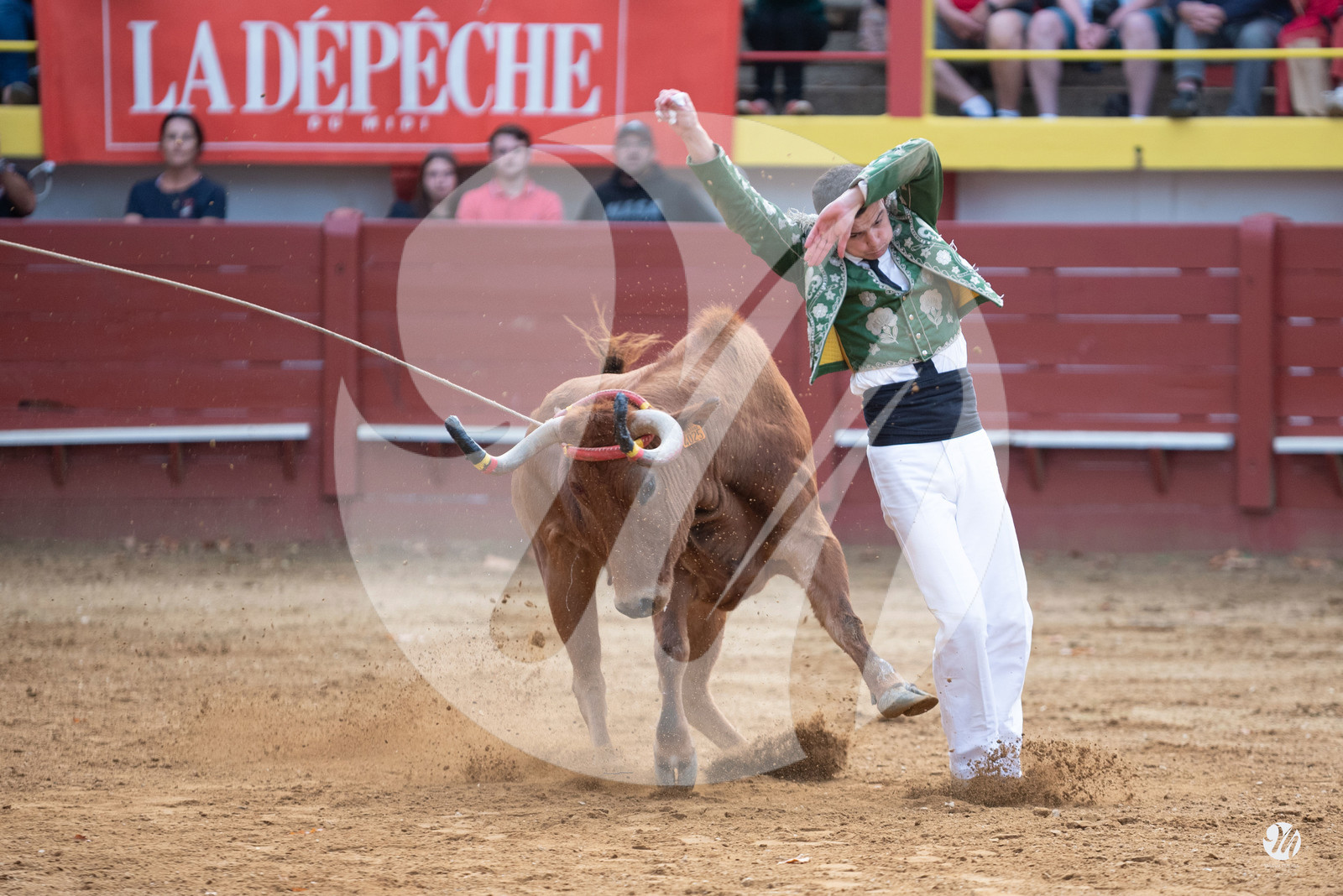 dsc_3438.jpg