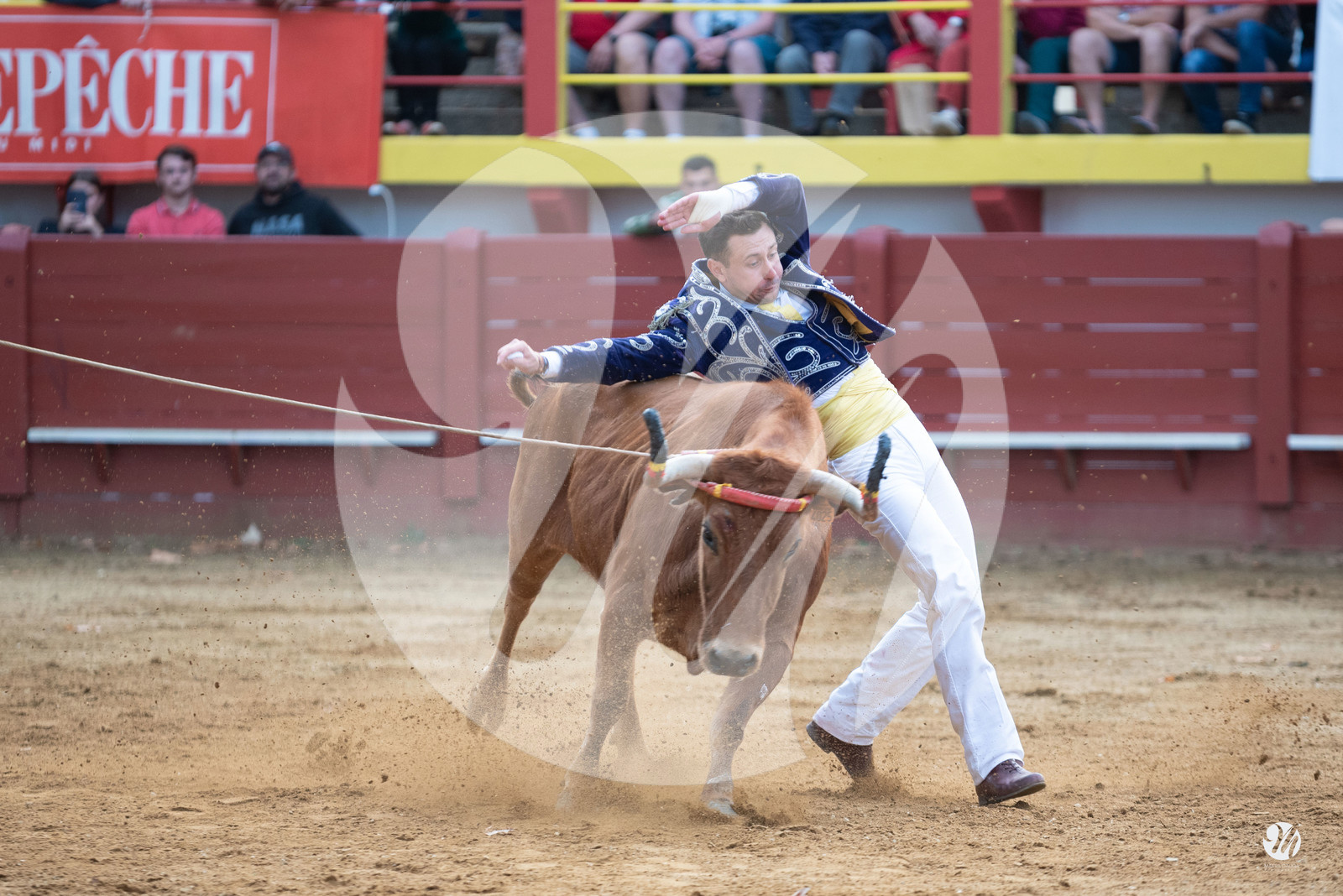 dsc_3452.jpg