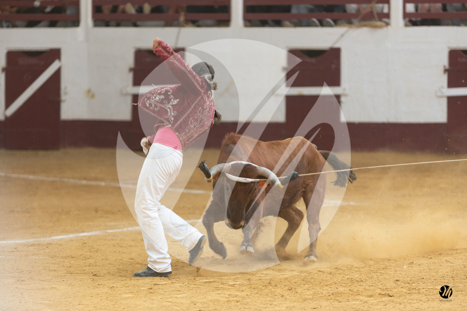dsc_8942.jpg