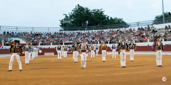 dsc_5533.jpg