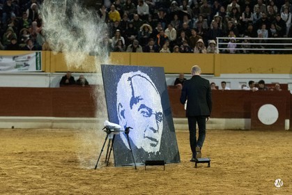 dsc_0740.jpg
