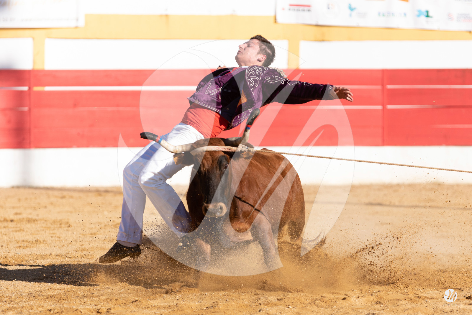 dsc_6962.jpg