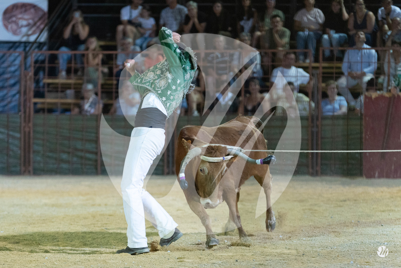 dsc_7854.jpg