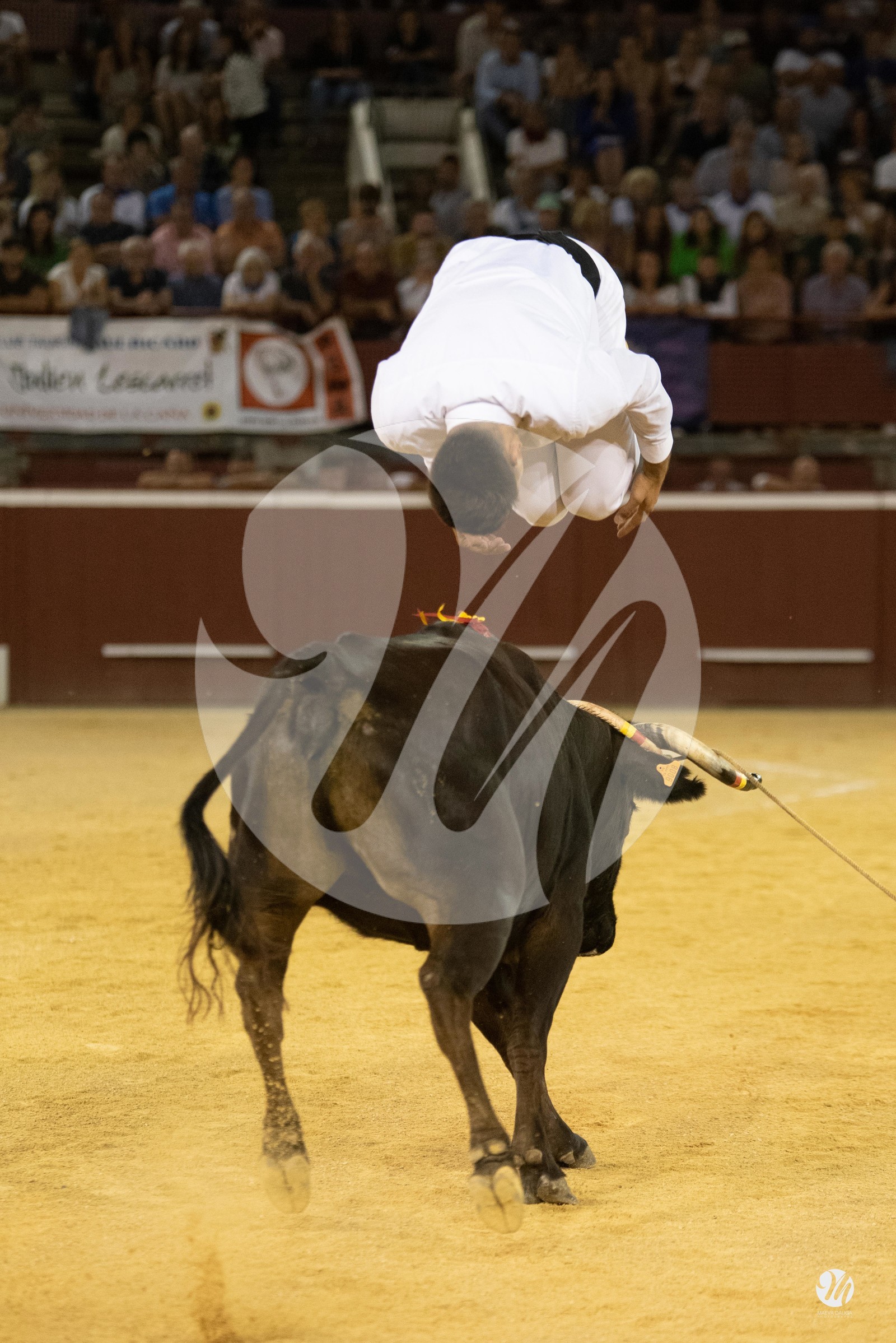 dsc_9956.jpg
