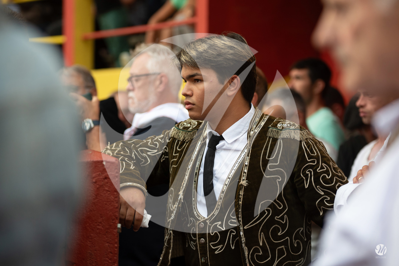 dsc_3123.jpg