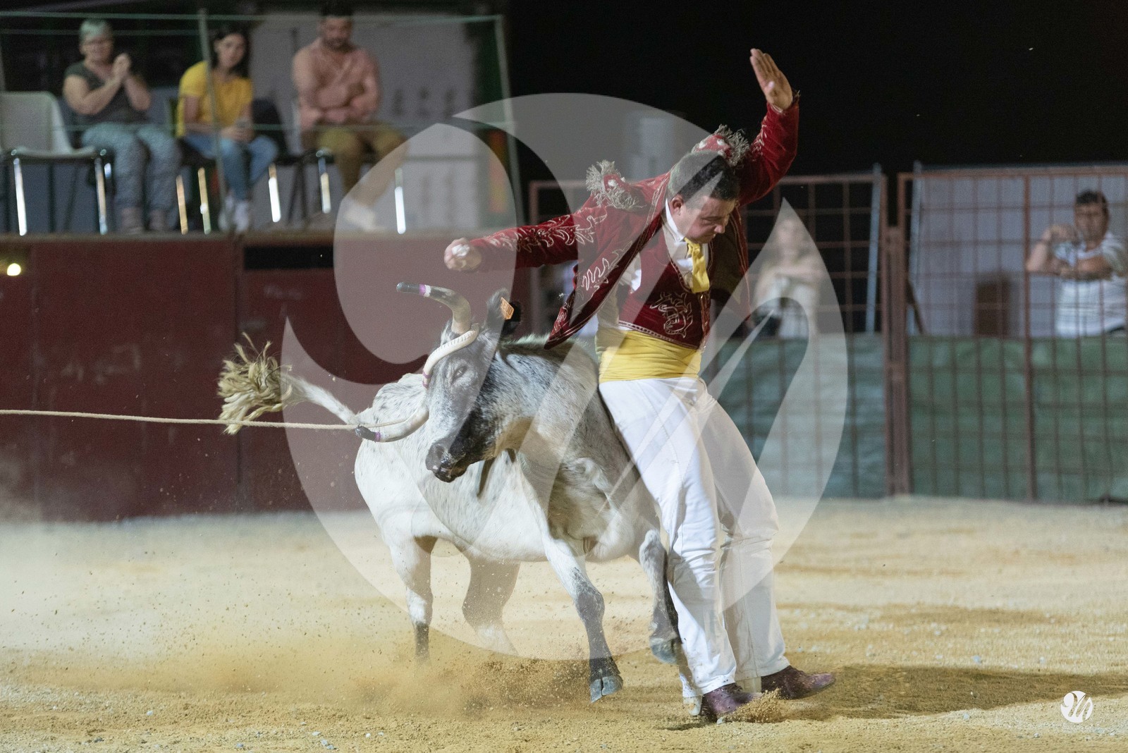 dsc_7568.jpg
