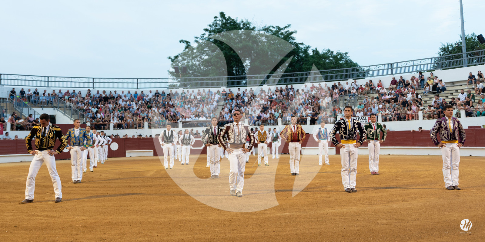 dsc_5533.jpg