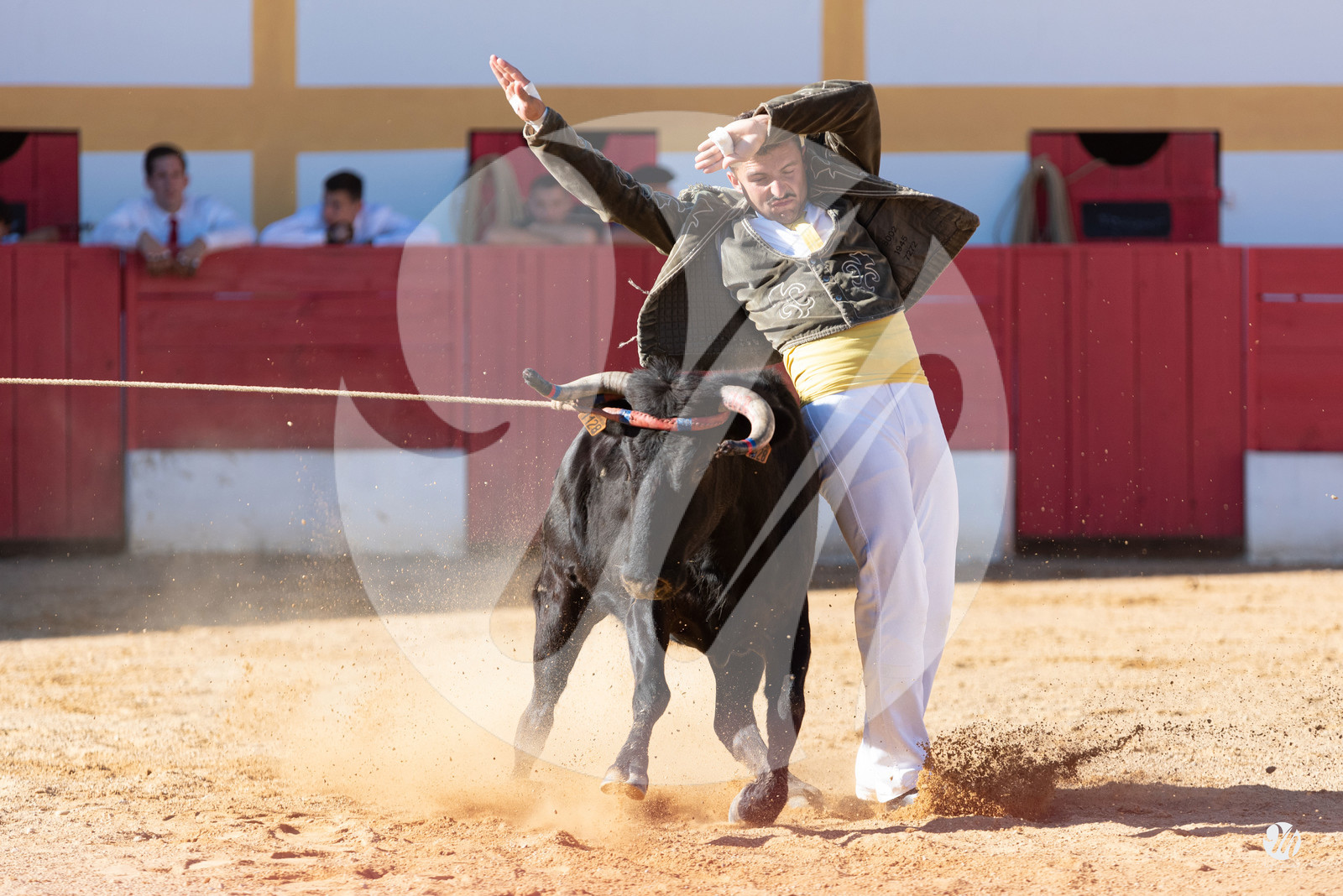 dsc_6789.jpg