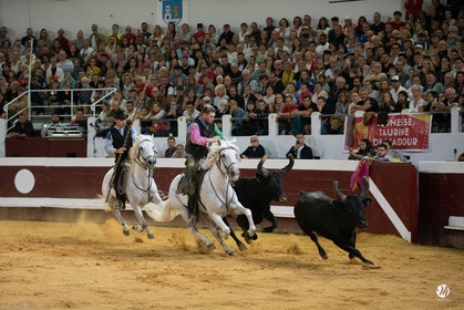 dsc_2737.jpg