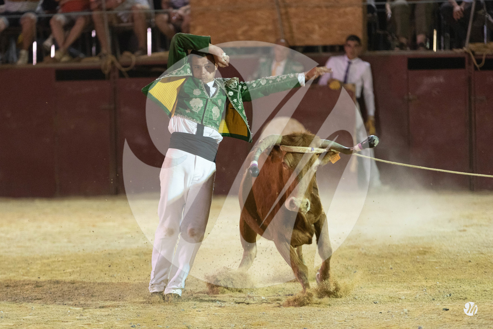 dsc_7849.jpg